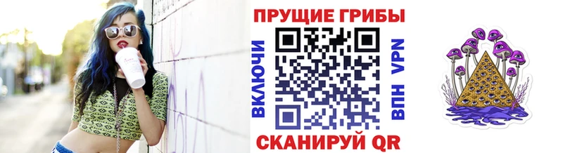 Псилоцибиновые грибы ЛСД  Купить где  Кумертау 